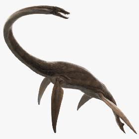 3D Plesiosaur Rigged